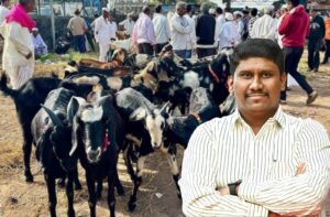 बकरी ईद: बोकड वाहतुकीवरील पोलीस अन् आरटीओ कारवाई तात्काळ थांबवा; शाहरूख मुलाणी यांची मुख्यमंत्र्यांकडे मागणी