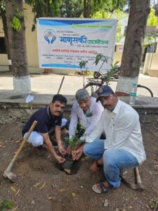 माणूसकी फाऊंडेशनतर्फे रविवारी चिंचणी येथे वृक्षारोपण; ‘झाडे लावा, झाडे जगवा’चा दिला संदेश