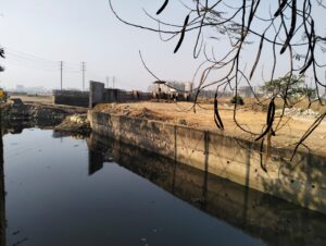 …तर वसई-विरार बुडणारच! कॅपिटल मॉलसमोरील बेकायदेशीर मातीभरावाचा मोठा फटका; एलायस डिसिल्वा यांचा प्रशासनावर थेट हल्ला
