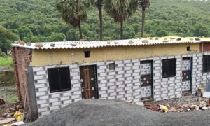 वसईच्या आचोळे परिसरातील वन जमिनीवर अनधिकृत बांधकामे आणि वृक्षतोडीचा डाव; प्रशासनाच्या भूमिकेवर प्रश्नचिन्ह